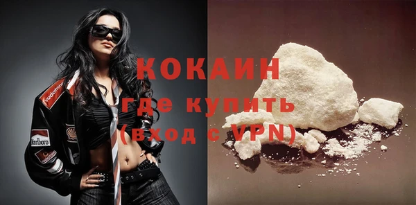 твердый Пересвет