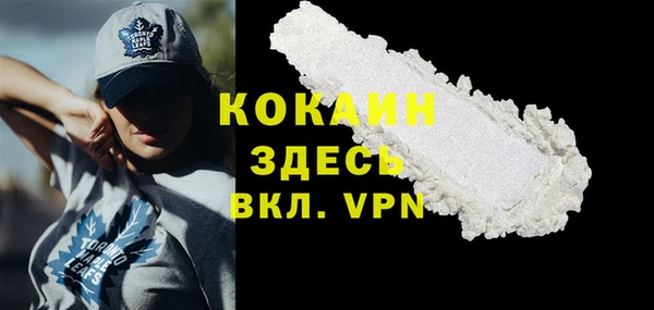 твердый Пересвет