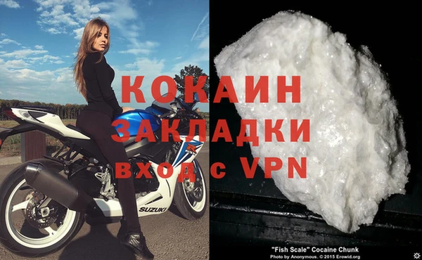 твердый Пересвет