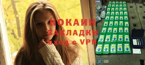 твердый Пересвет