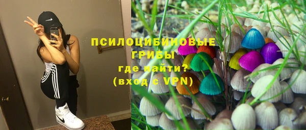 сатива Пестово