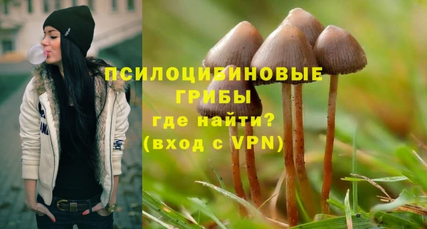 сатива Пестово
