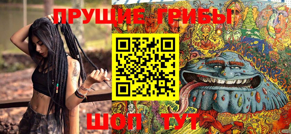 Псилоцибиновые грибы GOLDEN TEACHER Качканар